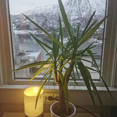 Hostel Brattvag Fjordblikk *